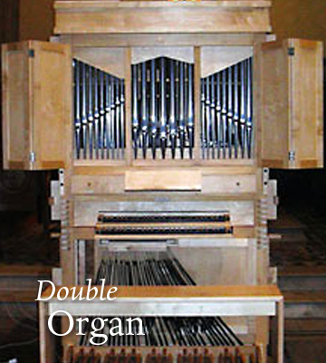 Double organ